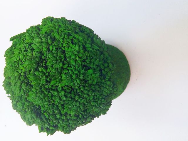 Simonart Artificial Decorative Tree for Home Decor