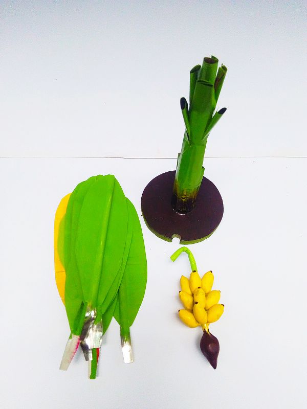 Banana Tree Handicrafts Decorative Home Decor
