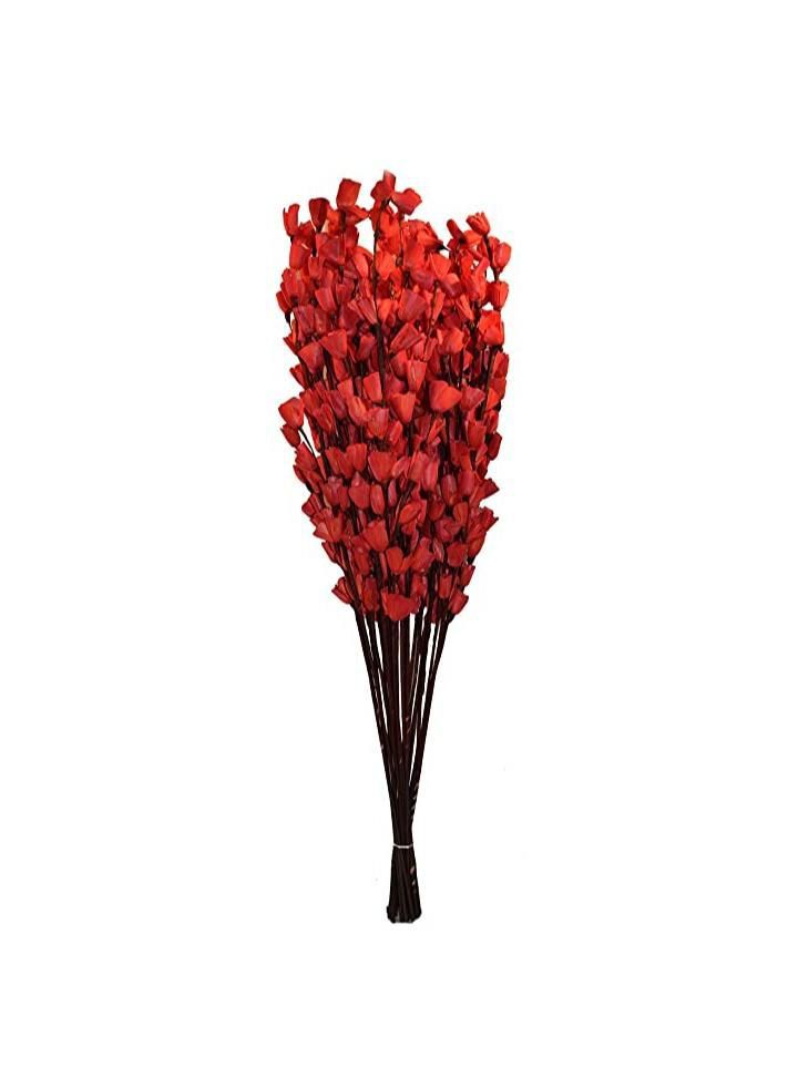 Dry Flowers Decorative Home Decor Collection