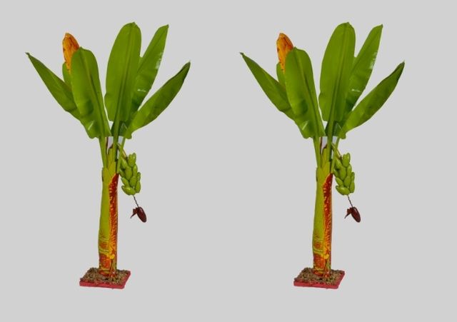 Artificial Banana Tree 54 cm Decorative...