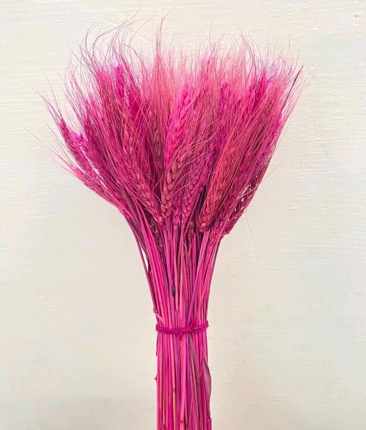 Natural Dry Flowers Set of 100 Sticks Ho...