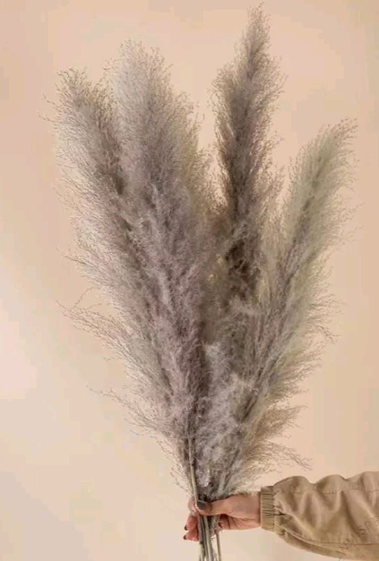 Natural Dry Flowers Set of 10 Sticks Home Decor Accent