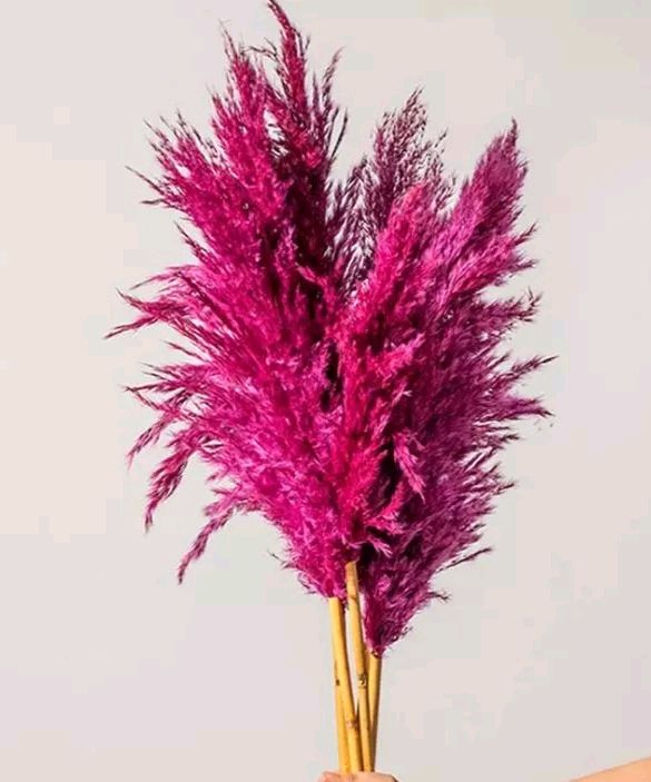Artificial Dry Flowers Set of 10 Sticks...