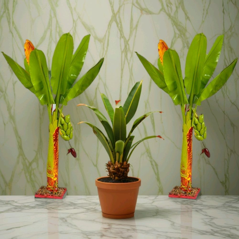 Artificial Banana Tree 2 Ft Decorative Handicraft Home Decor