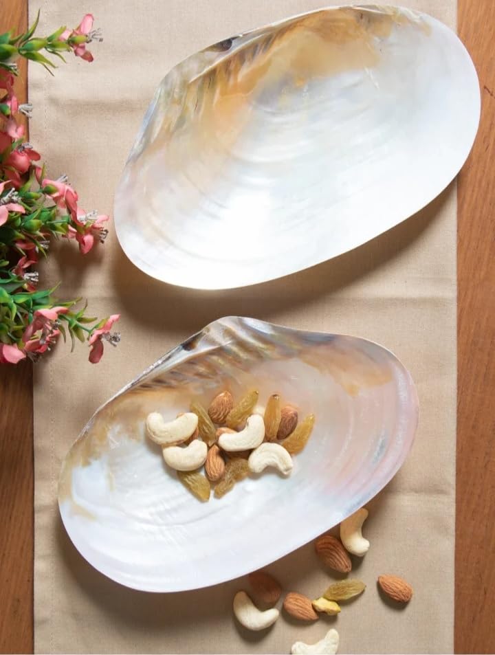 Handcrafted Mother of Pearl Sea Shell Decorative Serving Tray Set of 2