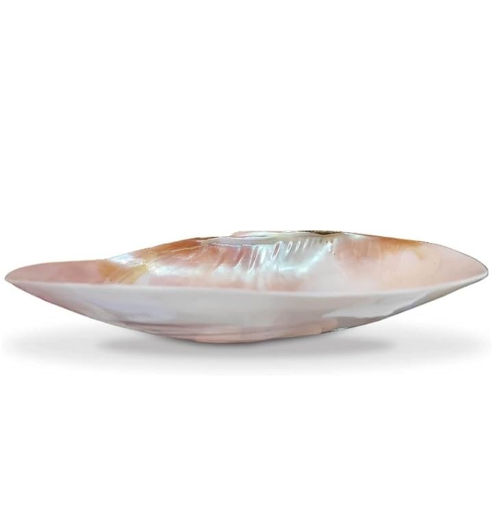 Handcrafted Mother of Pearl Sea Shell Decorative Serving Tray Set of 2