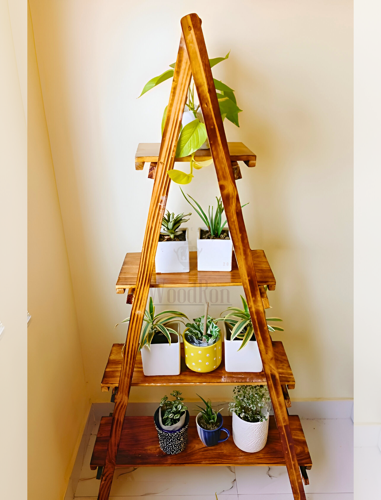 Premium 4 Tier Pinewood Ladder Shelf for Living Room Decor