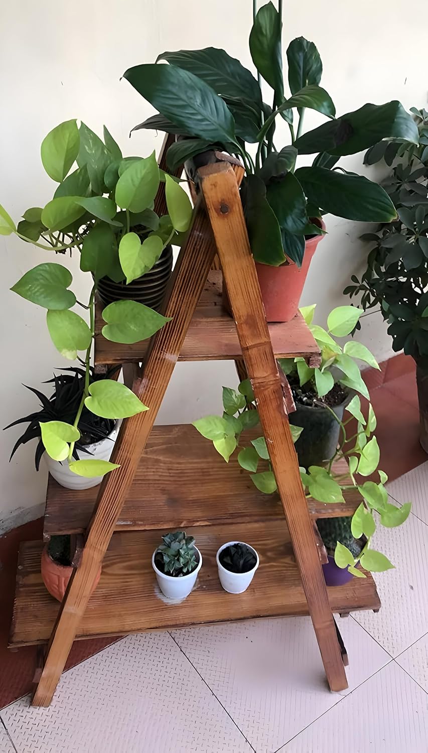 WoodRon Brand - Multipurpose 3-Tier Foldable Classy Pinewood 3-feet Ladder Shelf | Plant Stand | Indoor Flower Pot Stand | Bookcase Storage Rack | Display Shelf For Home Decor, Tiered Shelf