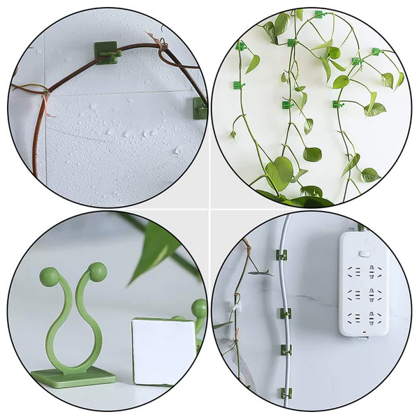 Plant Climbing Wall Fixture Clip Self Adhesive Hook Set 200 Pcs