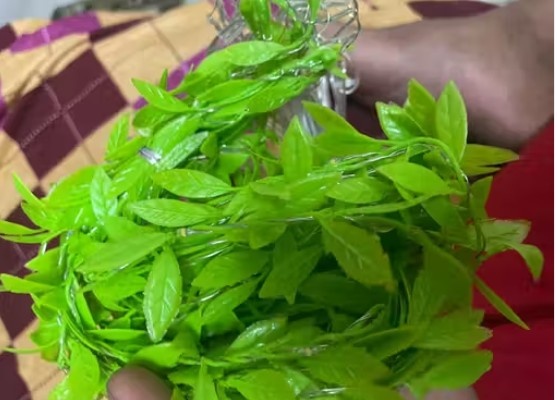 Artificial Leaf Curtain String Lights Wi...